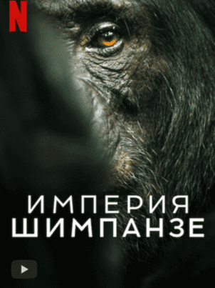 Империя шимпанзе