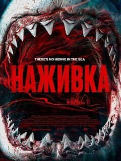 Наживка