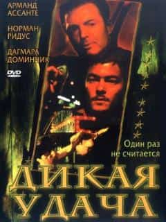Дикая удача