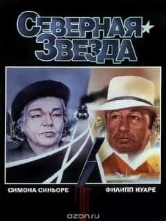 Северная звезда