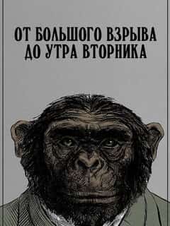 От Большого взрыва до утра вторника