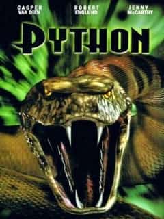 Питон