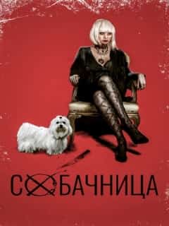 Собачница