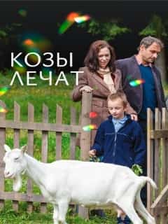 Козы лечат
