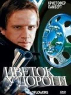Цветок у дороги