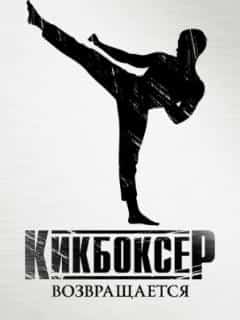 Кикбоксер возвращается
