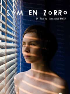 Такой, как Зорро