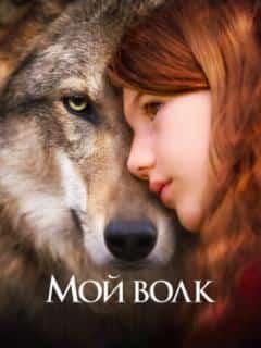 Мой волк