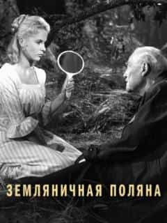 Земляничная поляна
