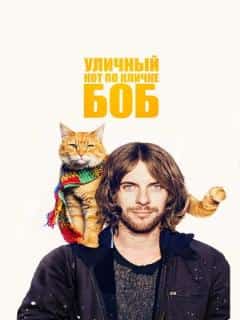 Уличный кот по кличке Боб