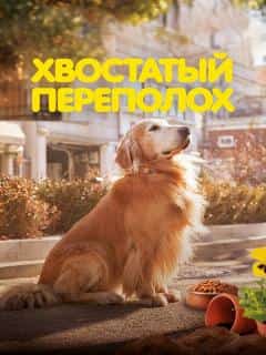 Хвостатый переполох