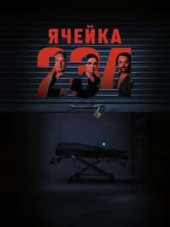 Ячейка 234