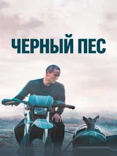 Чёрный пёс