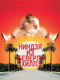 Ниндзя из Беверли-Хиллз