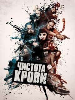 Чистота крови