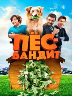 Пёс Бандит