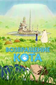 Возвращение кота