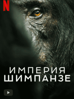 Империя шимпанзе