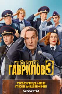 Инспектор Гаврилов