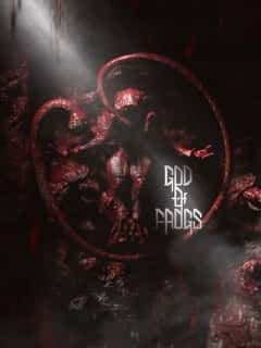 The God of Frogs