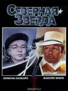 Северная звезда
