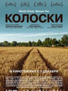 Колоски