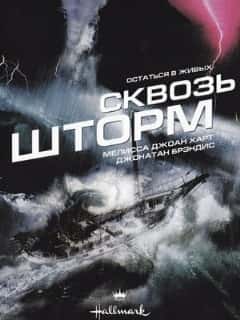 Сквозь шторм