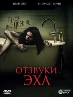Отзвуки эха