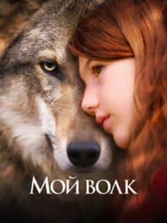 Мой волк