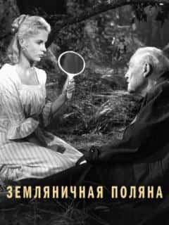 Земляничная поляна