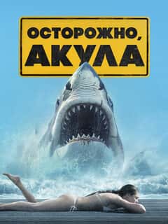 Shark Warning