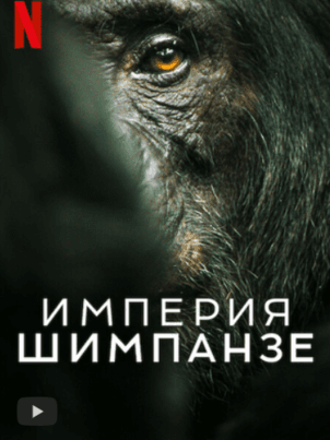 Постер: Империя шимпанзе