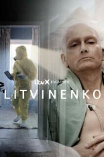 Постер: Литвиненко