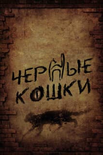 Постер: Черные кошки