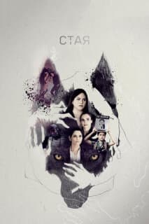 Постер: Стая