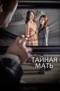 Постер: Тайная мама