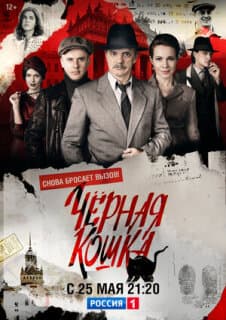 Постер: Черная кошка