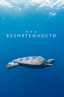 Постер: Мир безмятежности