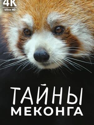 Постер: Тайны реки Меконг