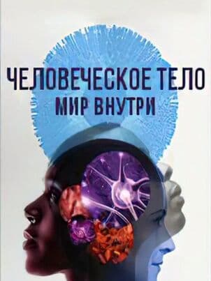 Постер: Человеческое тело: мир внутри