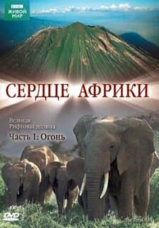 Постер: BBC: Сердце Африки