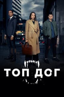 Постер: Топ дог