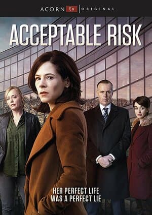 Постер: Допустимый риск