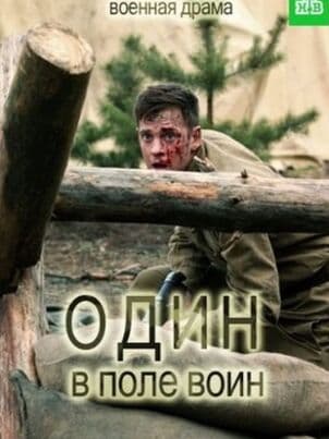 Постер: Один в поле воин