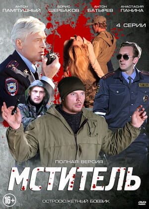Постер: Мститель