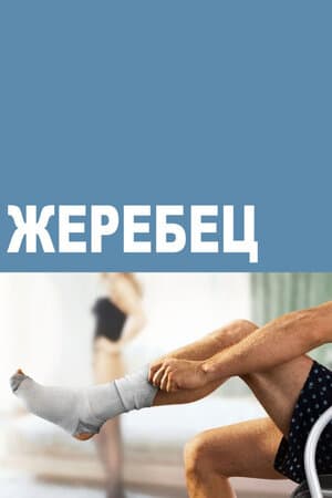 Постер: Жеребец