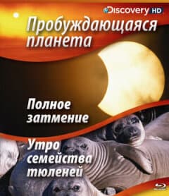 Постер: Пробуждающаяся планета