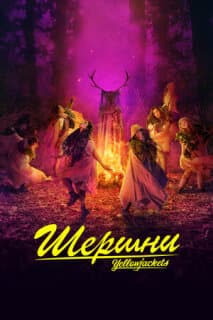 Постер: Шершни