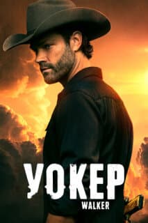 Постер: Уокер