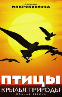 Постер: Птицы: Крылья природы